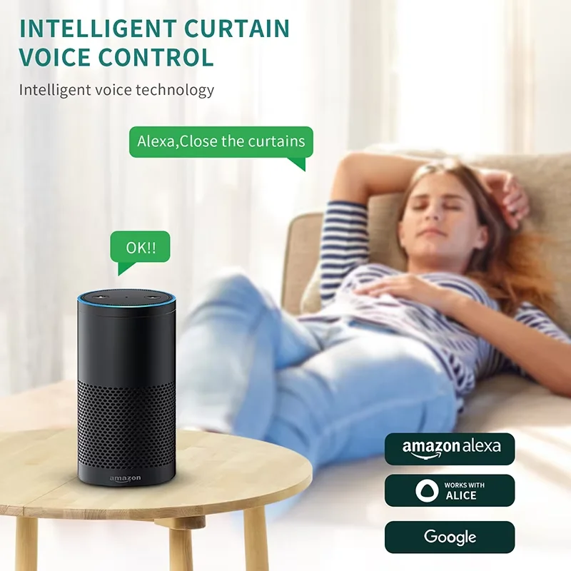 スマートホームTuya WiFiカーテンモーター、電動トラッ - Smart Home Mod のレビューと価格